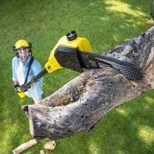 Best Seasonal Cleanup (Spring/Fall)  in Grand Coulee, WA
