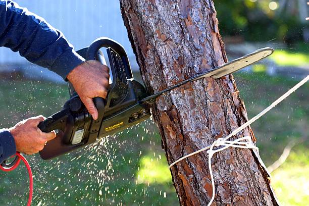 Best Aeration Services  in Grand Coulee, WA